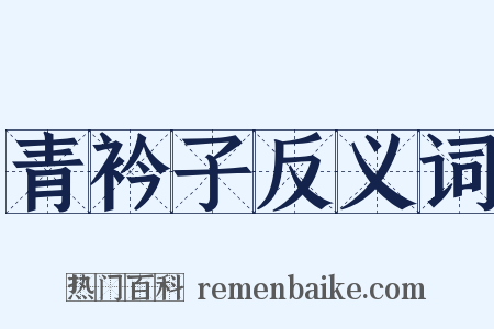 青衿子反义词是什么意思的图片